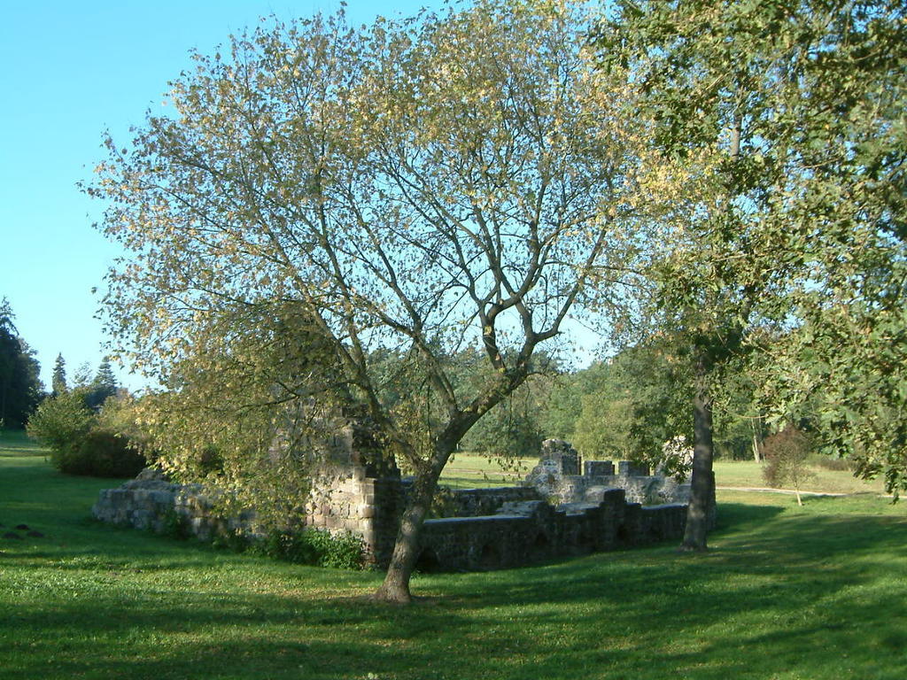 Haus Am See Chorin Exteriör bild